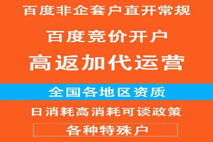 案例解析：竞价代运营如何实现高效广告投放